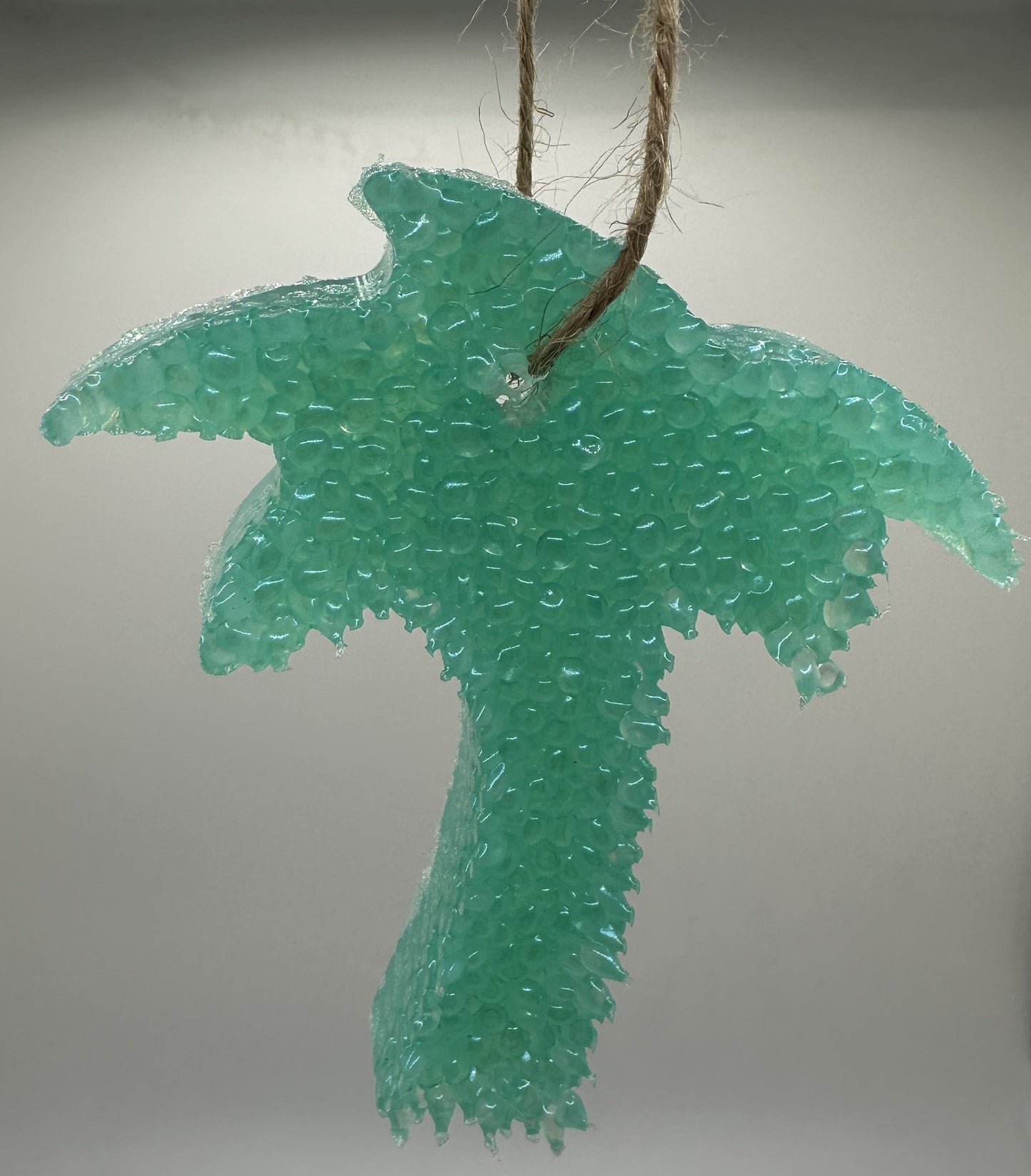 Palm Tree